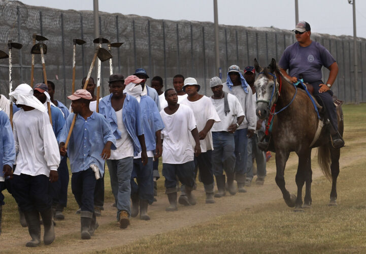 Prisoners in the US are part of a hidden workforce linked to hundreds of popular food brands | News, Sports, Jobs - Vimarsana News