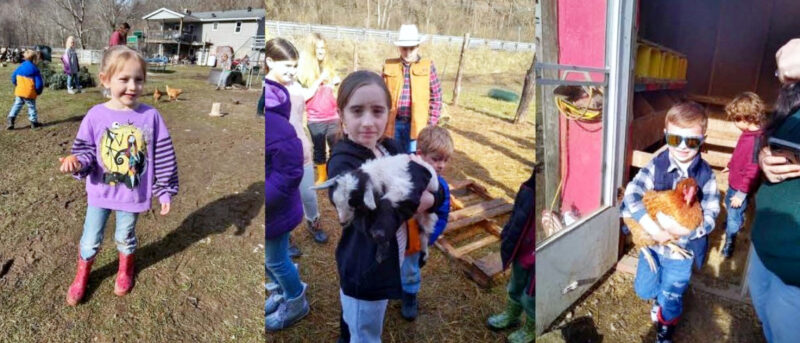 North Bend Farm Life 4-H Club learns the hands on way | News, Sports, Jobs - Vimarsana News
