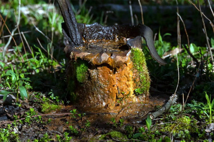 Federal money has supercharged Pa.'s plugging of dangerous wells | News, Sports, Jobs - Vimarsana News