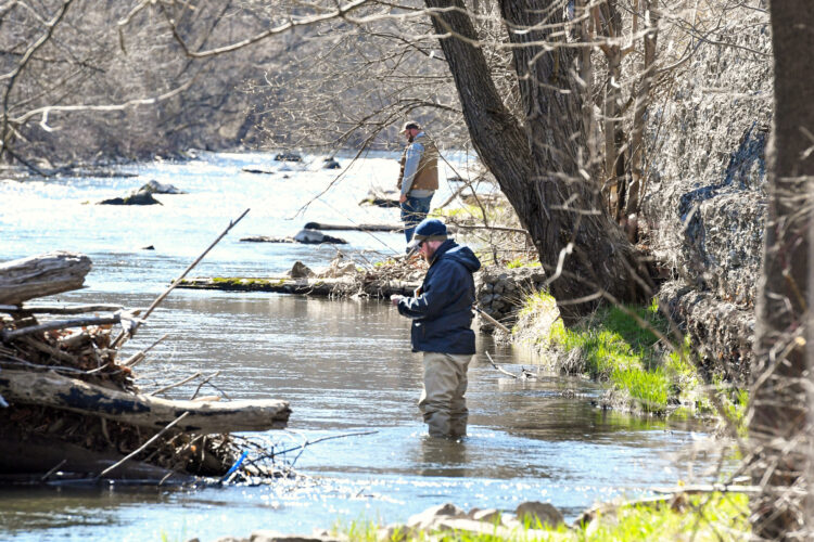 Trout season starts today | News, Sports, Jobs - Vimarsana News