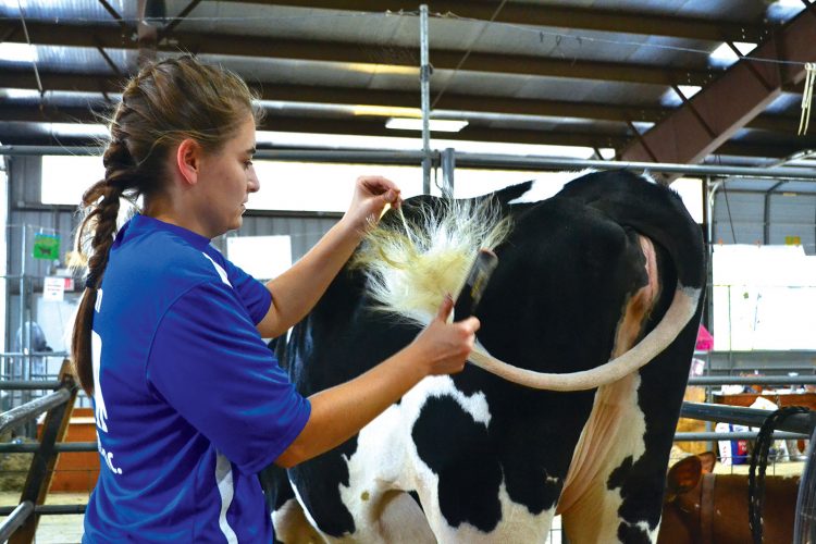 2021 fair schedules announced | News, Sports, Jobs - Vimarsana News