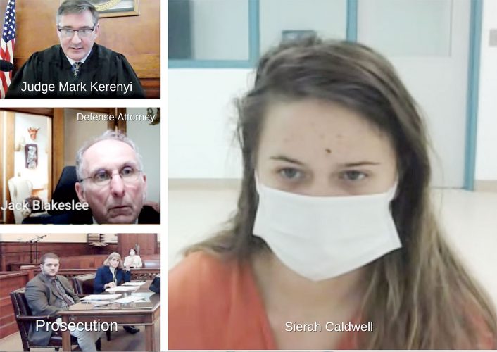 Courts utilizing teleconference software for hearings | News, Sports, Jobs - Vimarsana News