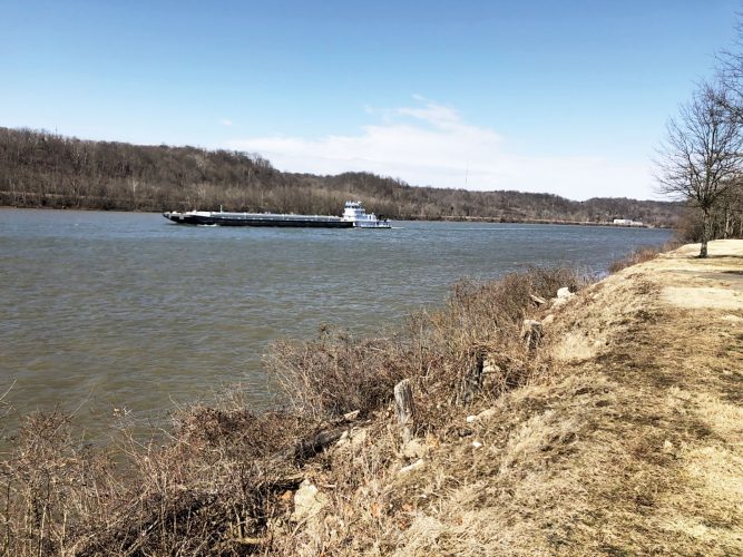 Vienna plans kayak launches | News, Sports, Jobs - Vimarsana News