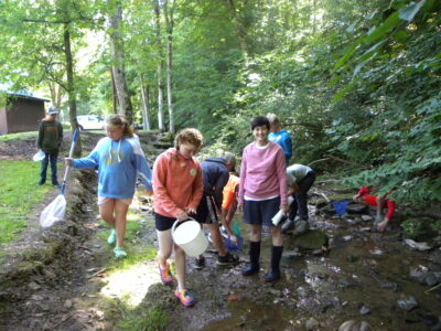 Four 4-H camps announced | News, Sports, Jobs - Vimarsana News