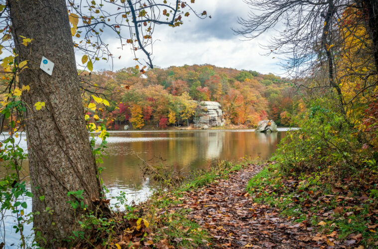 Wayne National Forest seeks campground hosts | News, Sports, Jobs - Vimarsana News