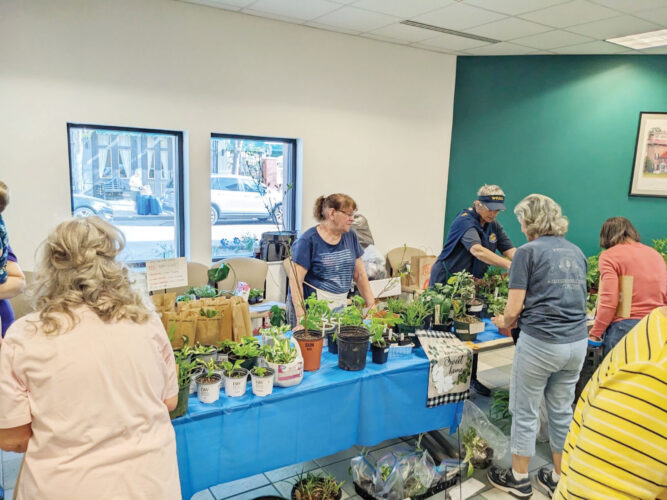 Master Gardener have Spring Seminar and Sale | News, Sports, Jobs - Vimarsana News