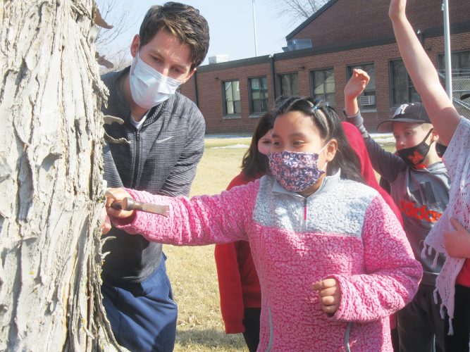 Sweet science | News, Sports, Jobs - Marshall Independent - Vimarsana News