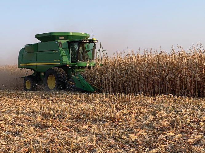 2020 a 'profitable year' | News, Sports, Jobs - Marshall Independent - Vimarsana News