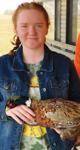Pheasants Forever plans 40th anniversary banquet | News, Sports, Jobs - Vimarsana News