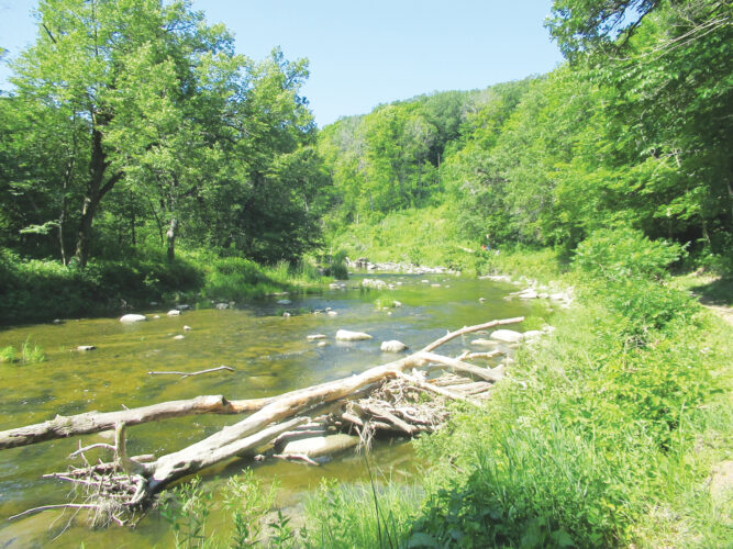Saving Camden River Trail | News, Sports, Jobs - Marshall Independent - Vimarsana News
