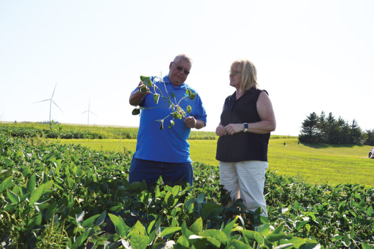 Simple process, big impact | News, Sports, Jobs - Marshall Independent - Vimarsana News