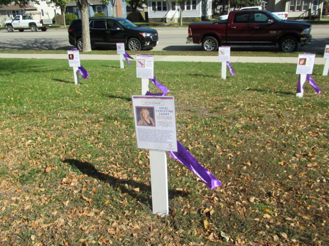 Raising awareness of domestic violence | News, Sports, Jobs - Vimarsana News