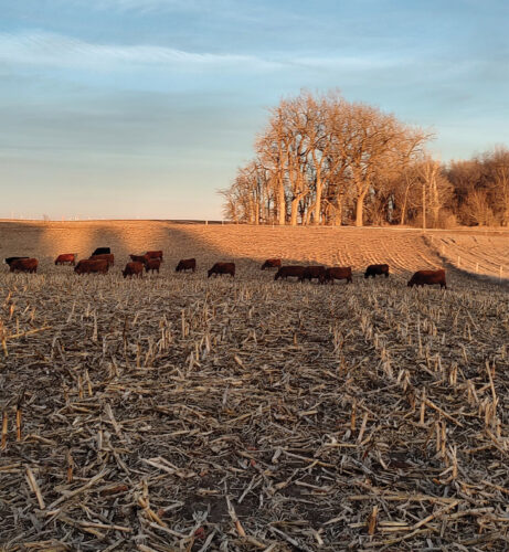Drought conditions 'a little bit scary' | News, Sports, Jobs - Vimarsana News