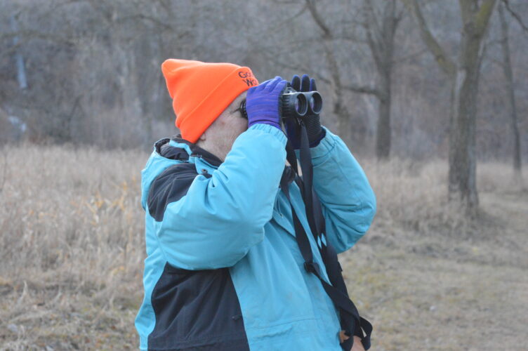 'Odd year' for Christmas Bird Count | News, Sports, Jobs - Vimarsana News