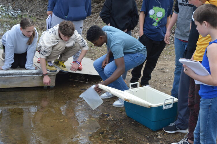 Trout fry swim free | News, Sports, Jobs - Marshall Independent - Vimarsana News