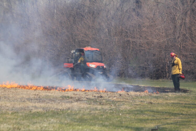 Clearing ground for pollinator plots | News, Sports, Jobs - Vimarsana News