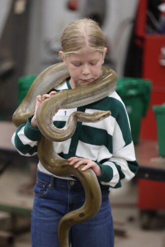 ‘Learning combined with fun’