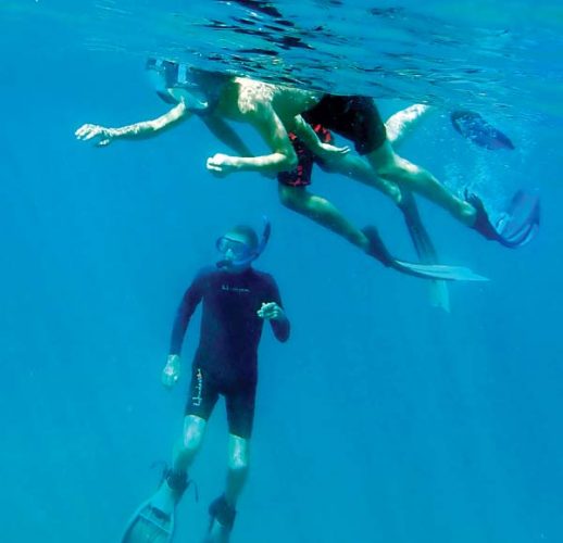 Researchers probe for answers to snorkel-related fatalities | News, Sports, Jobs - Vimarsana News