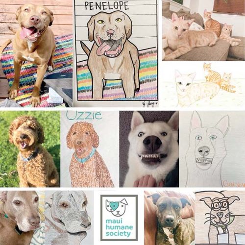 'Bad pet art' raises funds for shelter | News, Sports, Jobs - Vimarsana News