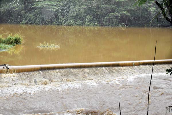 Kaupakalua Dam was slated for removal when flood hit | News, Sports, Jobs - Vimarsana News