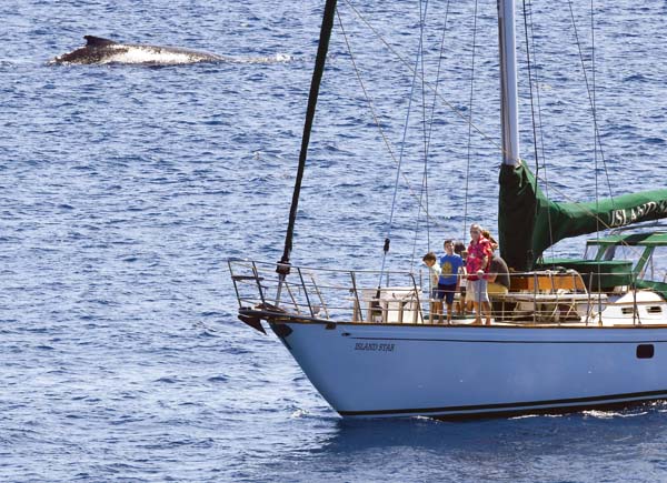 State sees over 90% visitor recovery rate for 6 months | News, Sports, Jobs - Vimarsana News