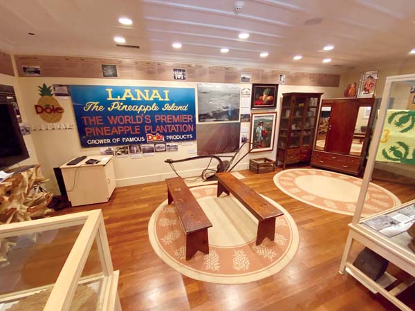 Museum gets back to normal after pandemic | News, Sports, Jobs - Vimarsana News