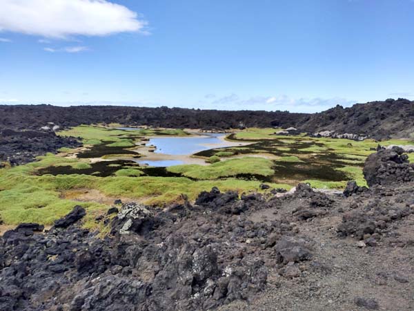 Project aims to map wetlands for restoration and flood prevention | News, Sports, Jobs - Vimarsana News