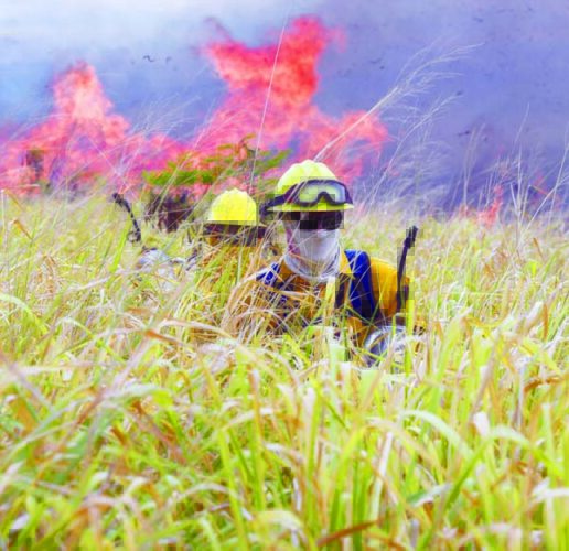 Fire training turns up the heat | News, Sports, Jobs - Vimarsana News