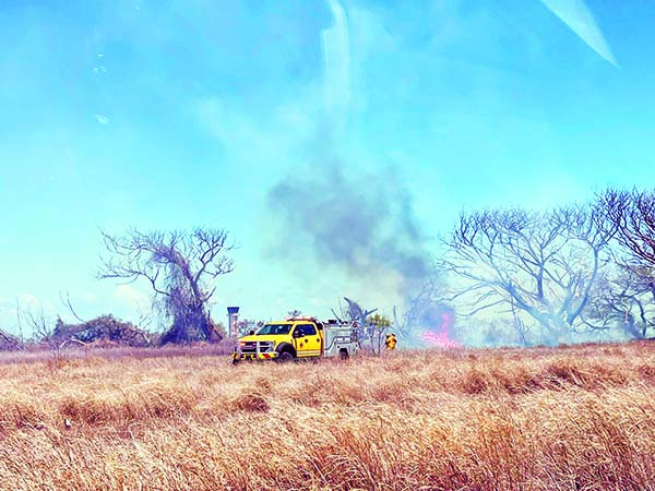 Brush fire closes airport temporarily | News, Sports, Jobs - Vimarsana News