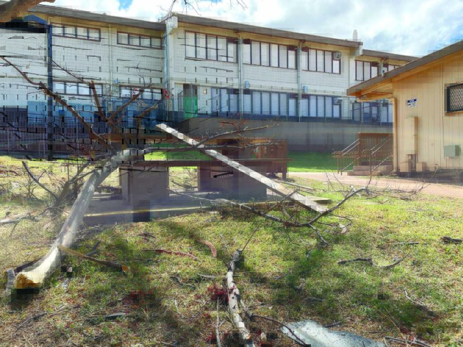 DOE: 3 Lahaina schools sustain wind damage but remain in good condition | News, Sports, Jobs - Vimarsana News