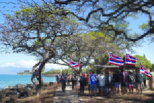 Immigrant workers' livelihoods, documents in limbo after Lahaina fire's devastation | News, Sports, Jobs - Vimarsana News