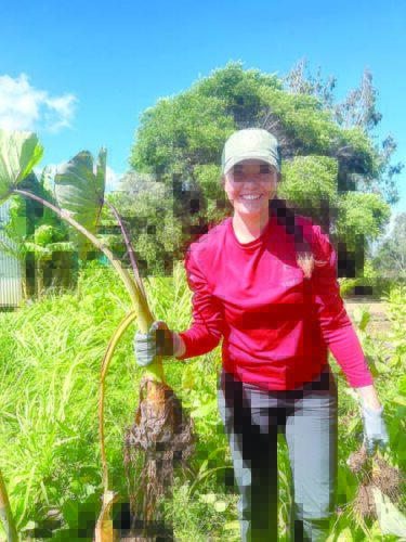 Maui Farm hires new executive director | News, Sports, Jobs - Vimarsana News