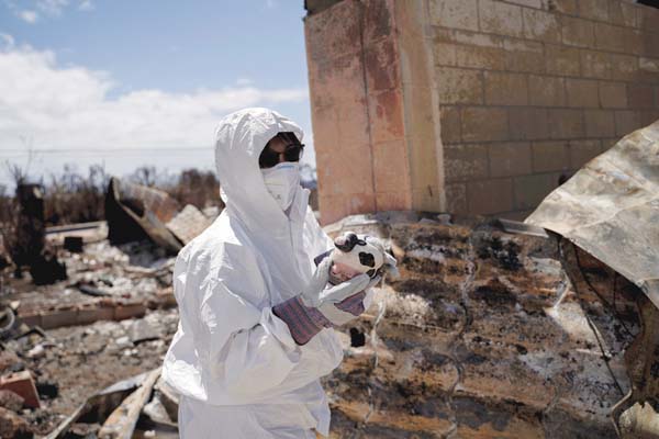 Family finds heirlooms and devastation in first home visit after wildfire | News, Sports, Jobs - Vimarsana News