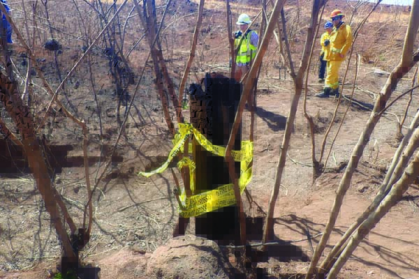 Tire, burnt trees, utility pole may be critical in Maui fire investigation | News, Sports, Jobs - Vimarsana News