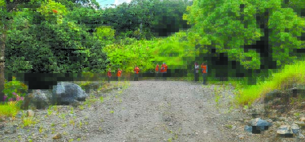 All-hands-on-deck effort to find little fire ants in Nahiku | News, Sports, Jobs - Vimarsana News