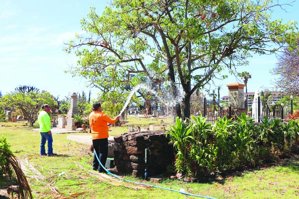 Landscaping experts ask residents to keep healthy trees after fire | News, Sports, Jobs - Vimarsana News