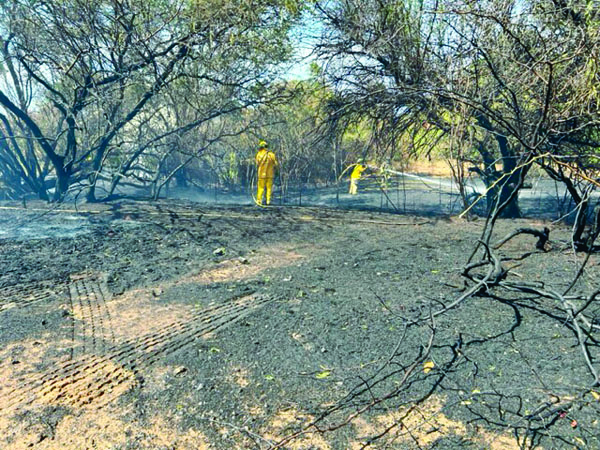Brush fire burns empty lot in Kihei | News, Sports, Jobs - Vimarsana News