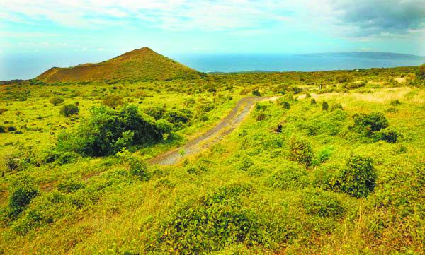 State proposes public hunting area in Kanaio | News, Sports, Jobs - Vimarsana News