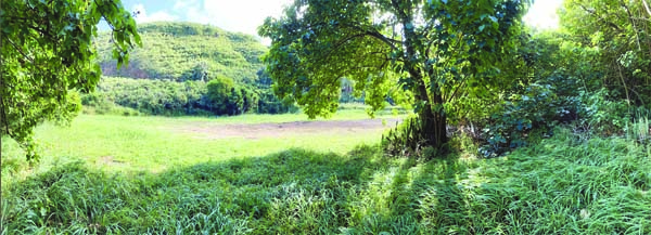 Parcel on Honokohau Bay purchased | News, Sports, Jobs - Vimarsana News