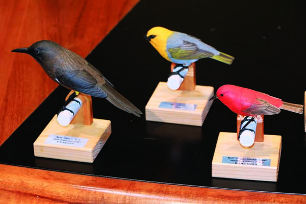 Makahiki o Na Manu Nahele: Year of the forest birds | News, Sports, Jobs - Vimarsana News