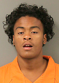Murder, attempted murder defendant agrees to plea | News, Sports, Jobs - Vimarsana News