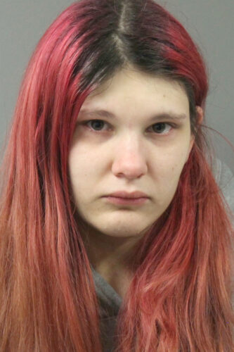 Blaha pleads guilty to second-degree murder, sentenced to 50 years | News, Sports, Jobs - Vimarsana News