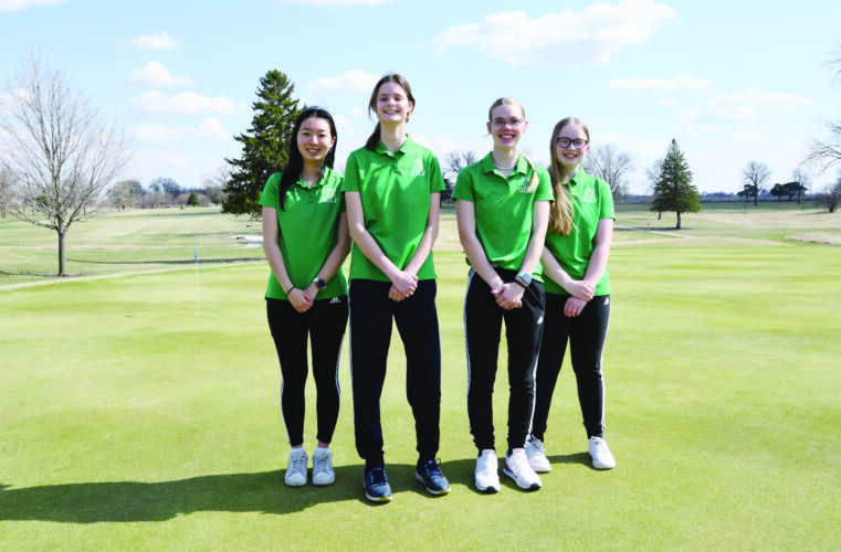 Gaels working hard to grow | News, Sports, Jobs - Vimarsana News