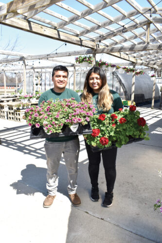 Farmstand's Year of Growth | News, Sports, Jobs - Vimarsana News