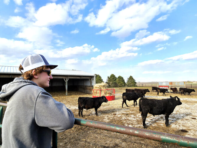 Beginning in beef | News, Sports, Jobs - Vimarsana News