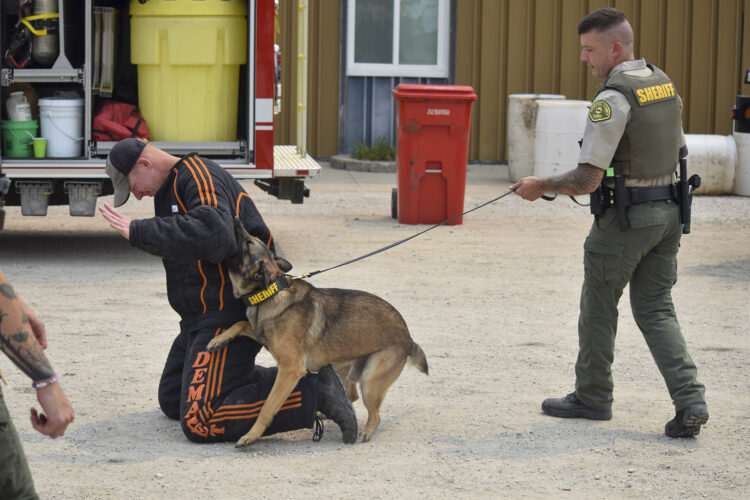 Feenstra seeks support for retired police K9s | News, Sports, Jobs - Vimarsana News
