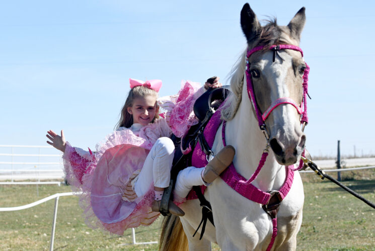 Fall means its time for Pumpkins and Ponies | News, Sports, Jobs - Vimarsana News