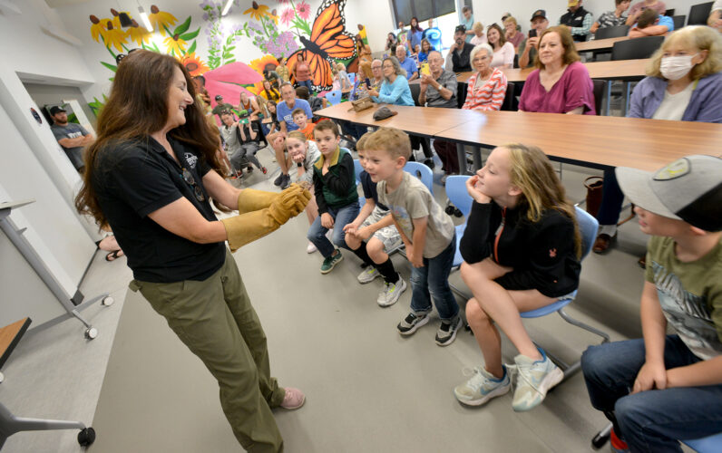 Going batty over bats