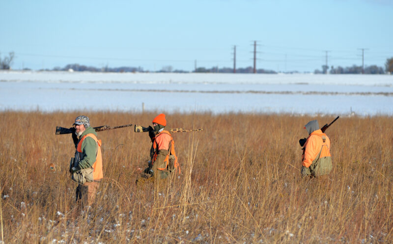 100 years of pheasant hunting