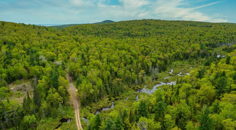 Meet Keweenaw Heartlands Project Manager in Eagle Harbor Thursday | News, Sports, Jobs - Vimarsana News